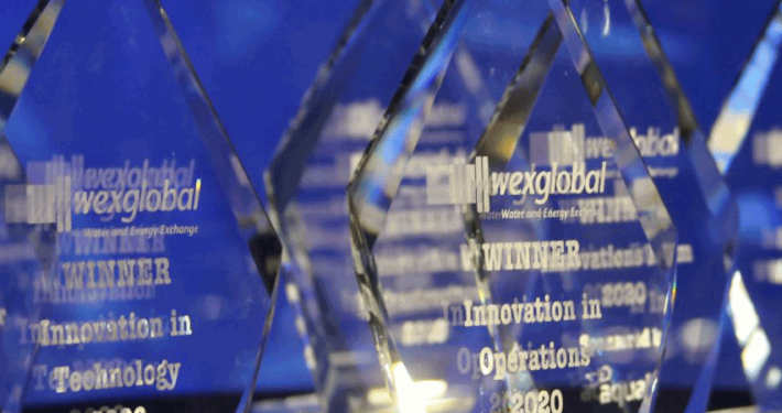 WEX Award 2020 trophies